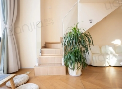 整租·桂林华润中心万象城 1室1厅 南_桂林华润中心万象城租房