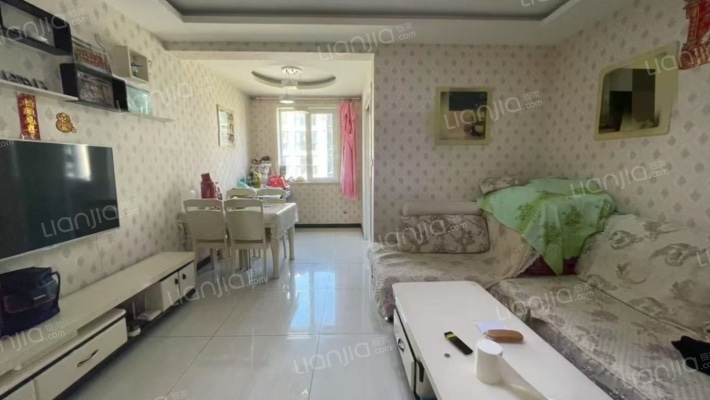 青花府南北通透两居室 精装修采光无遮挡-客厅