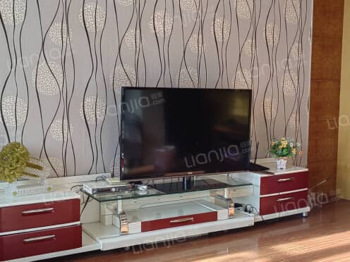 整租·国税小区 3室2厅 南