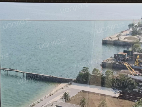 整租·恒大外滩花园 1室0厅 南