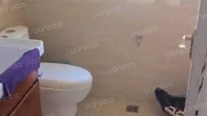 838沿线，70年大产权，房本满五唯一精装修，税低-卫生间