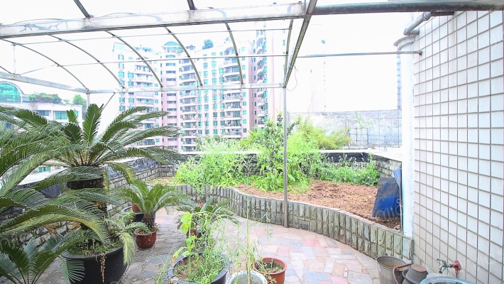 配套成熟 朝中庭40平露台 屋顶花园 实际使用面积大-花园