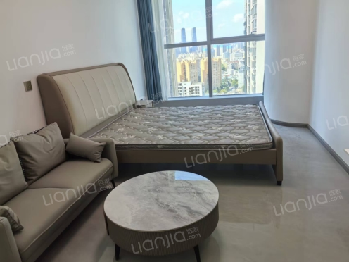 整租·龙湖时代金融中心 1室1厅 东南