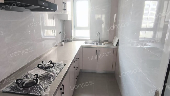 桃源新都孔雀城 3室2厅 南-厨房