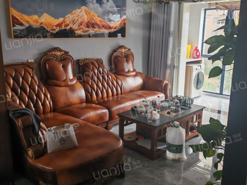 整租·湖畔嘉苑 2室2厅 南