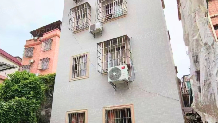 乐从自建房沙滘社区居委会二手房实景图