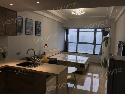 整租·明宇.金融广场 1室0厅 东南