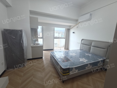 整租·金橄榄广场 1室0厅 南