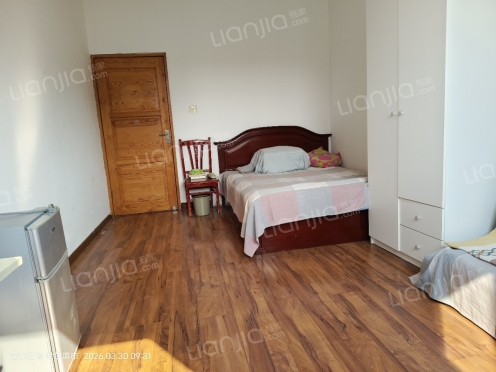 整租·四季芳洲 1室1厅 南