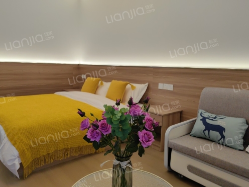 整租·北经庄村 6室3厅 南