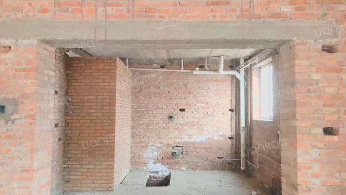 独栋别墅  大院子 环境优美 私家庭院-厨房