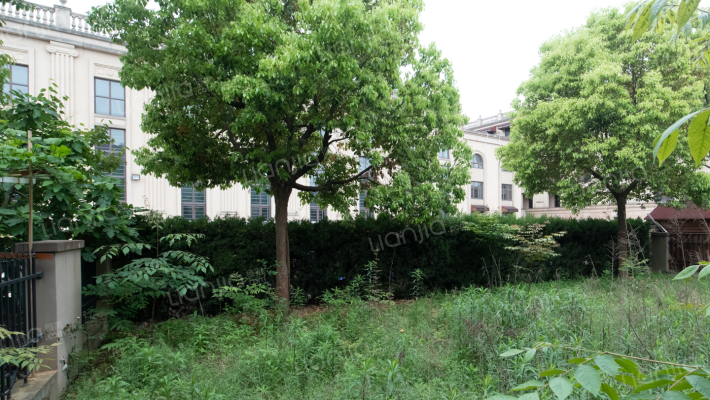 仙林翠谷二期 类独栋 南花园 位置好 户型方正-花园