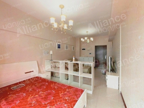 整租·金悦城 1室1厅 南