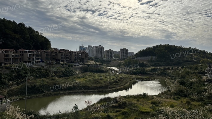 白晶谷31组团二手房实景图