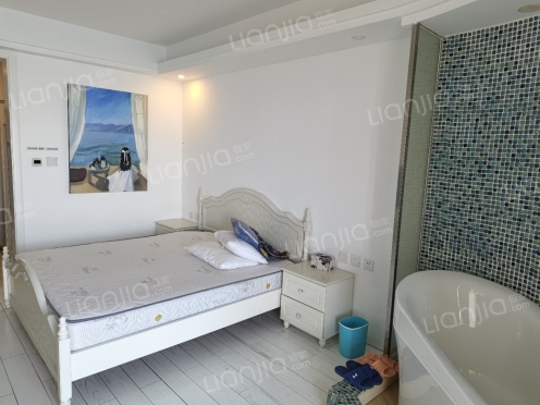 整租·洱海国际生态城 1室1厅 西