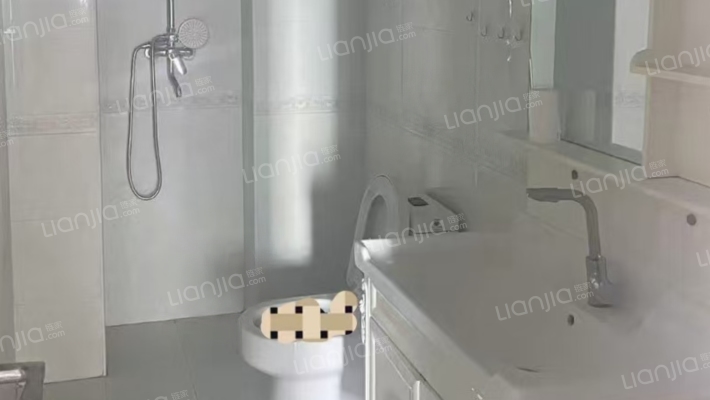 水岸花城，好房源，环境好，交通便利。-卫生间