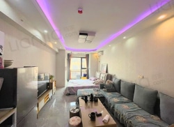 整租·九龙广场 1室1厅 东_九龙广场租房