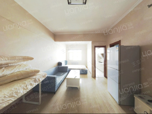 整租·塞上凝聚力公寓 1室1厅 北