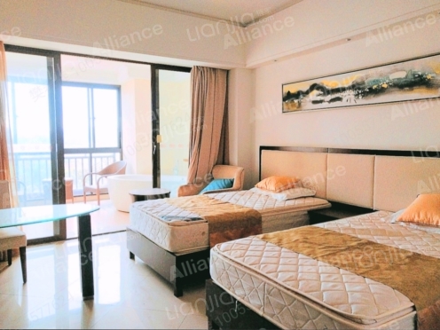 整租·大华西海岸温泉丽舍 1室0厅 南