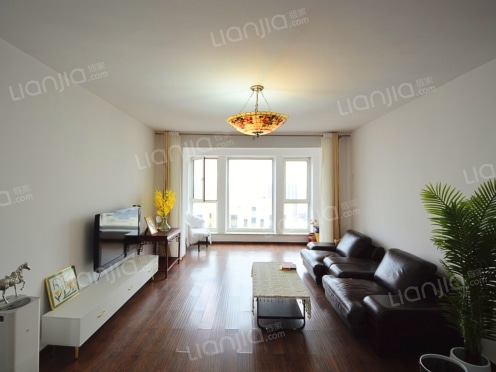 整租·万达广场 3室2厅 南/北