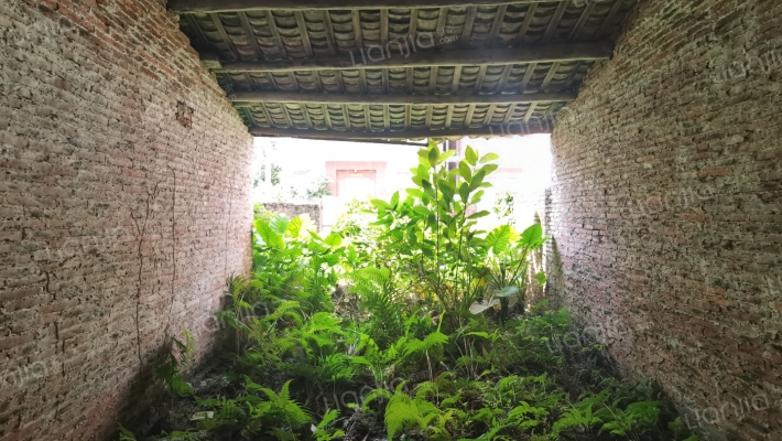 合隆路二手房实景图