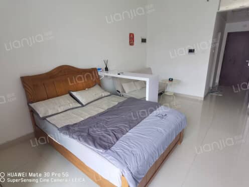 整租·佳嘉豪园 1室0厅 西南