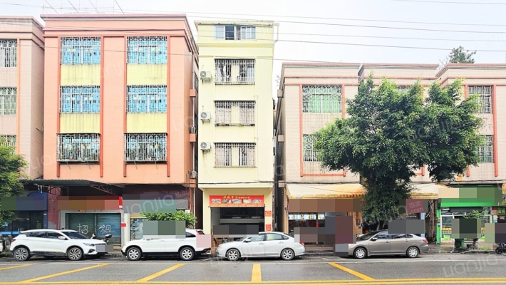 陈村自建房赤花居委会二手房实景图