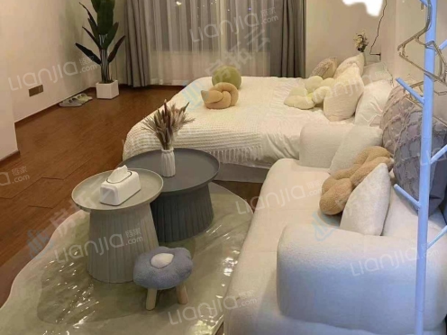 整租·金华万达广场SOHO 1室1厅 南