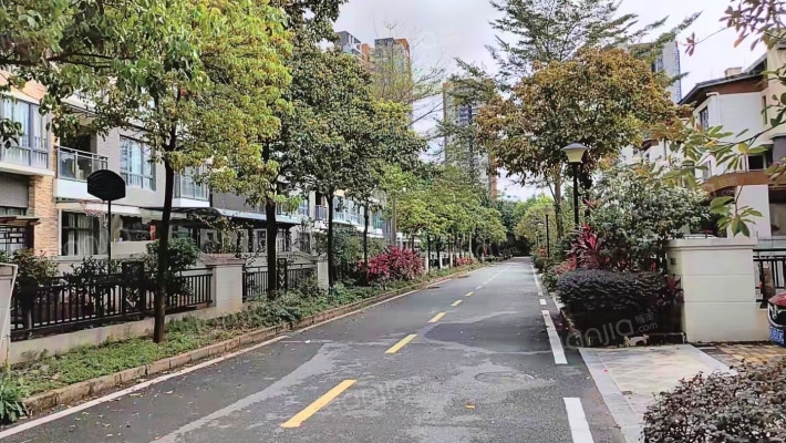 满五税费低 南北通 带花园和车位 4房毛坯边位别墅-窗外景观