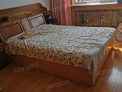 整租·市政住宅小区 2室1厅 南/北