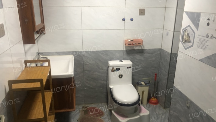 小区发展成熟，空气清新，适合居住，生活方便-卫生间