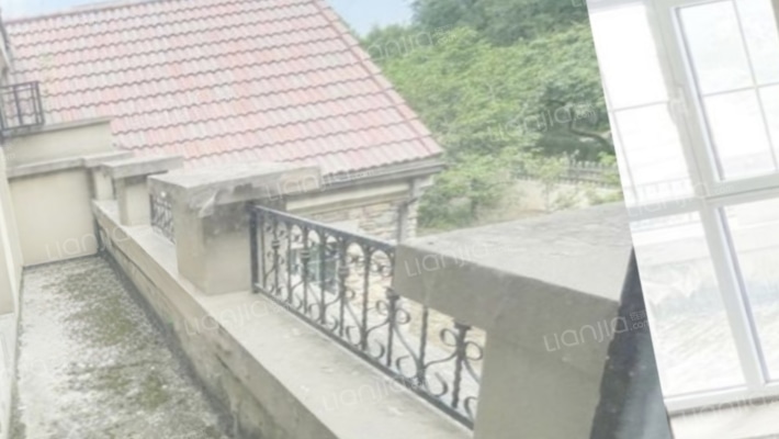 东高毛坯别墅 花园里的别墅区 业主急售-阳台