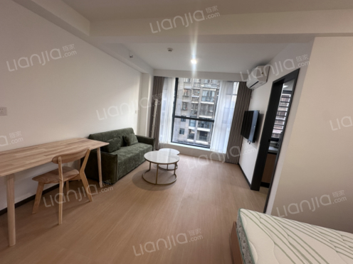 整租·白马湖公馆 1室1厅 南