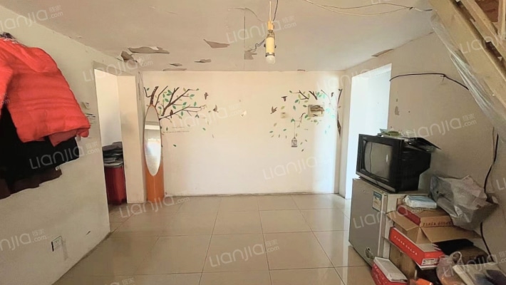 高新片区 燕赵花园 小户型 正规一室一厅-客厅