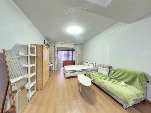 整租·润都世纪 1室0厅 南