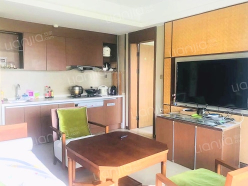 整租·万科湖畔度假公园二期 2室2厅 南