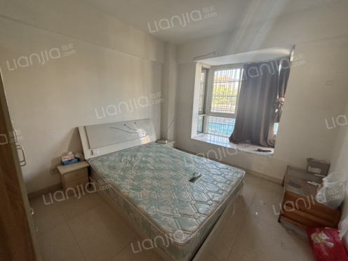 整租·紫薇星座 1室1厅 南