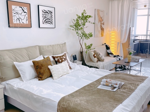 整租·淘宝城 1室1厅 南