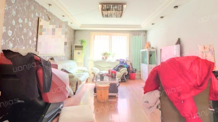 华阳主路 金地小区 低楼层 大三居-客厅