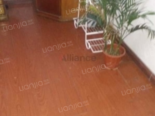 整租·鹤山路小区 2室1厅 南