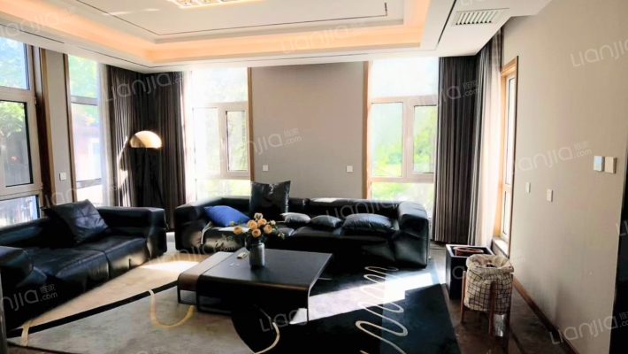 急售临湖大独栋别墅，精装修，价格美丽，风景独好-客厅B