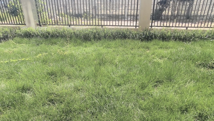 南北通透的大三居 134平 两个卫生间 一层 带院-入户花园