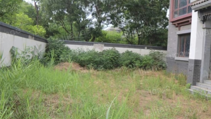 独栋大别墅，大院子，大产权。绿植覆盖率很好-客厅B