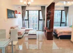 整租·花样年•麓湖国际 1室1厅 南_花样年•麓湖国际租房