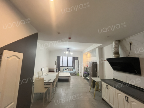 整租·北大资源梦想城 1室1厅 南