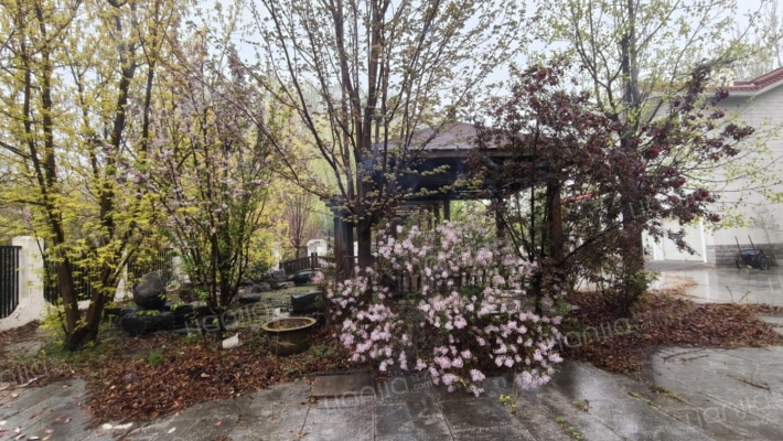 急售邻京大别墅，户型好，价格美丽-花园