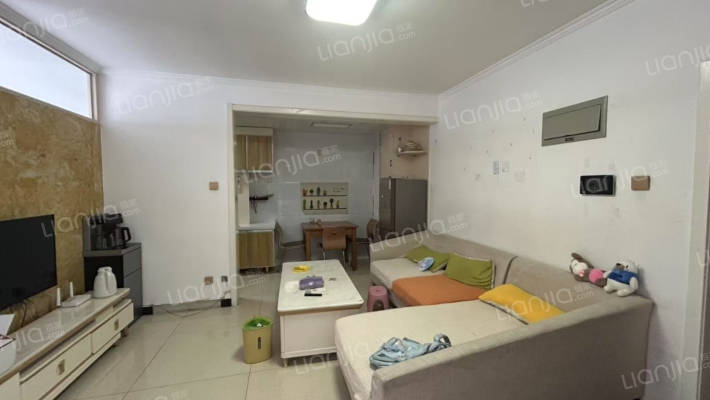 华阳路电梯房 中上楼层  采光好 简单装修-客厅