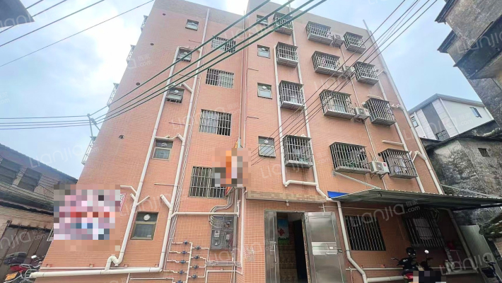 杏坛单家罗水社区二手房实景图