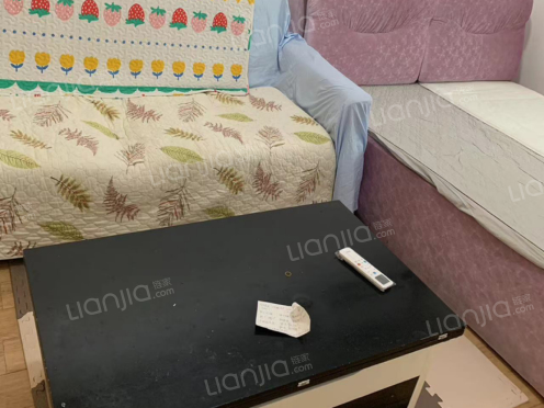 整租·东原D8公馆 1室1厅 南