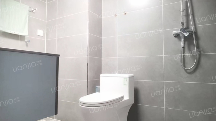 适合现代年轻人精装修的房子拎包就  住-卫生间